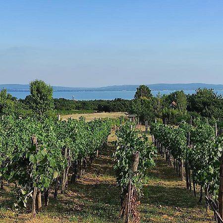 Apartamento Kisház a szőlőhegyen Balatonakali Exterior foto