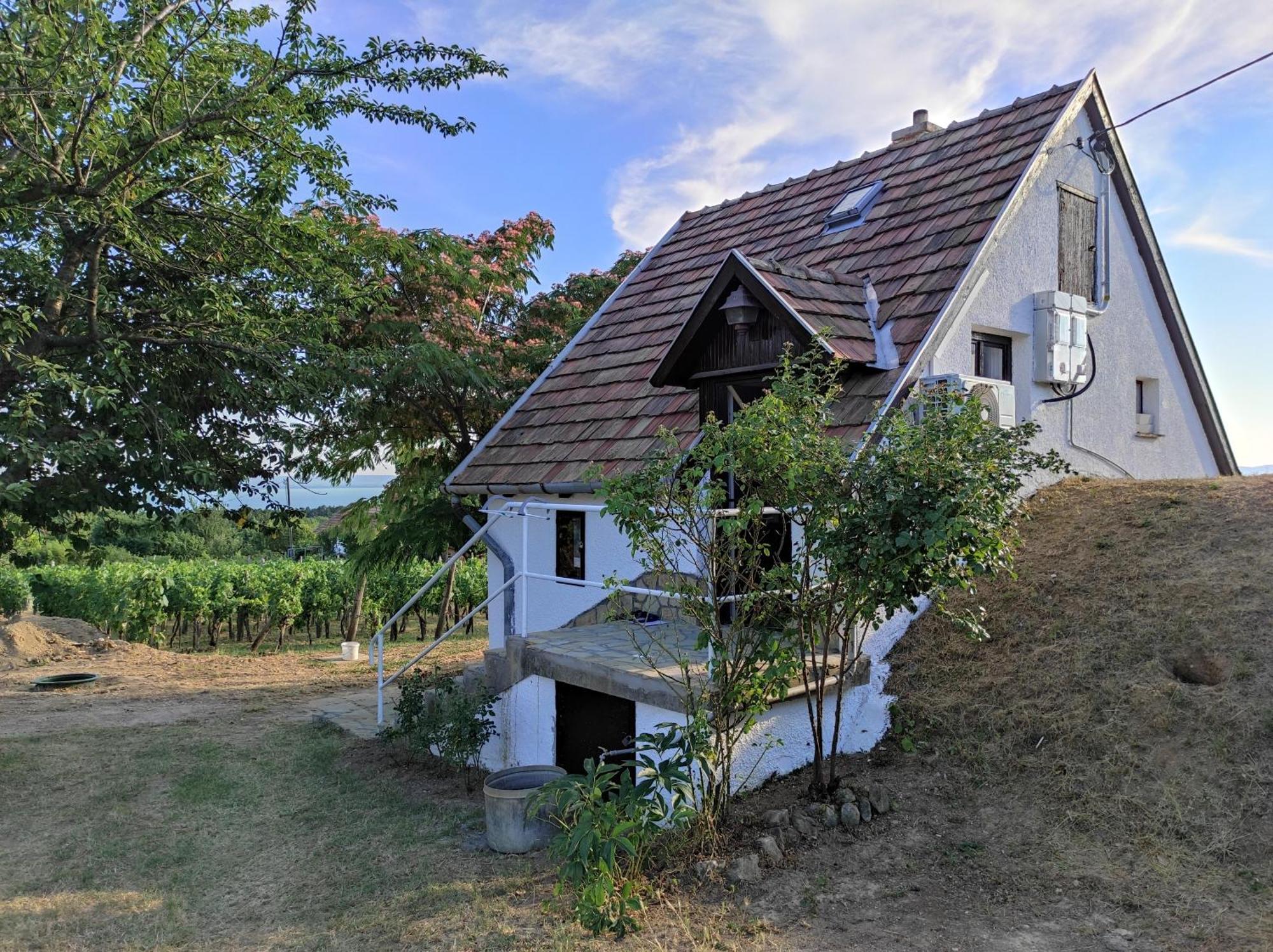 Apartamento Kisház a szőlőhegyen Balatonakali Exterior foto