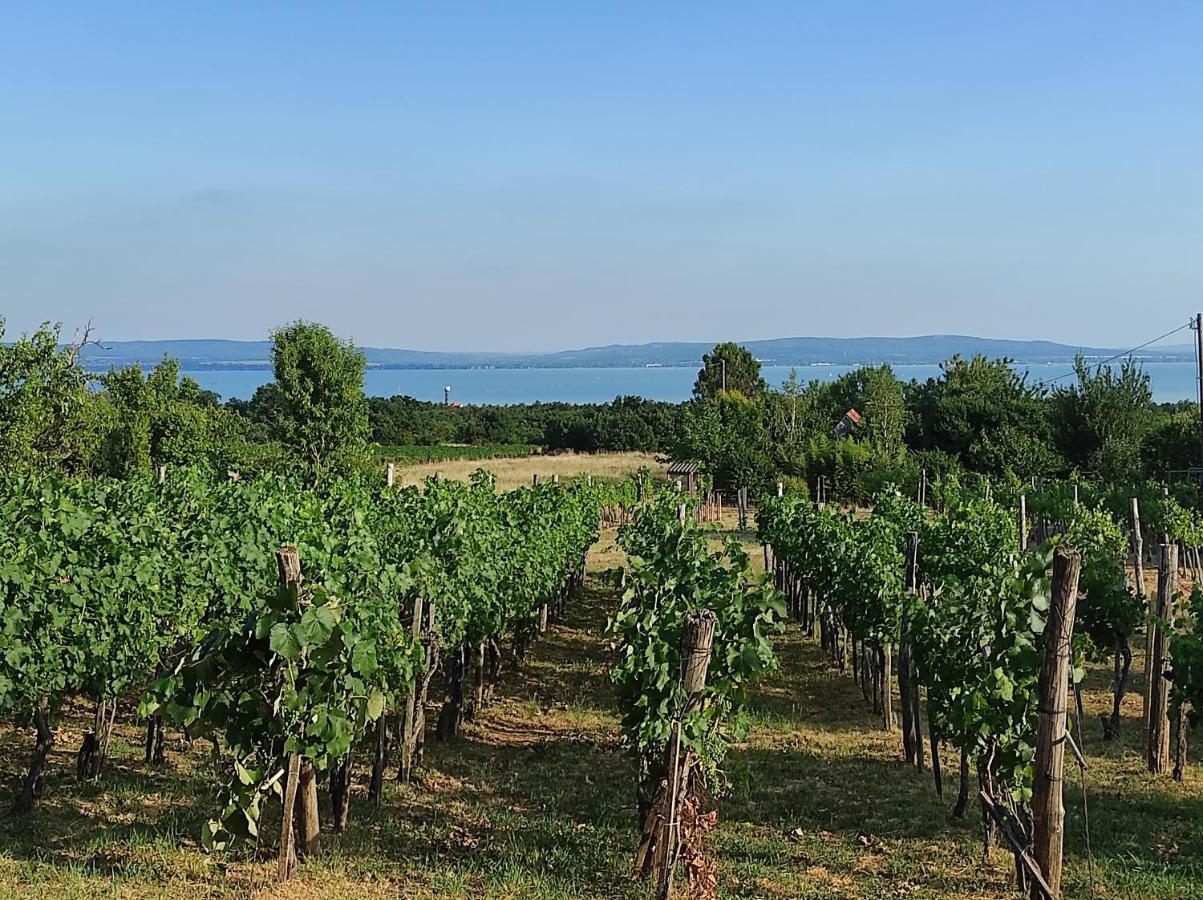 Apartamento Kisház a szőlőhegyen Balatonakali Exterior foto